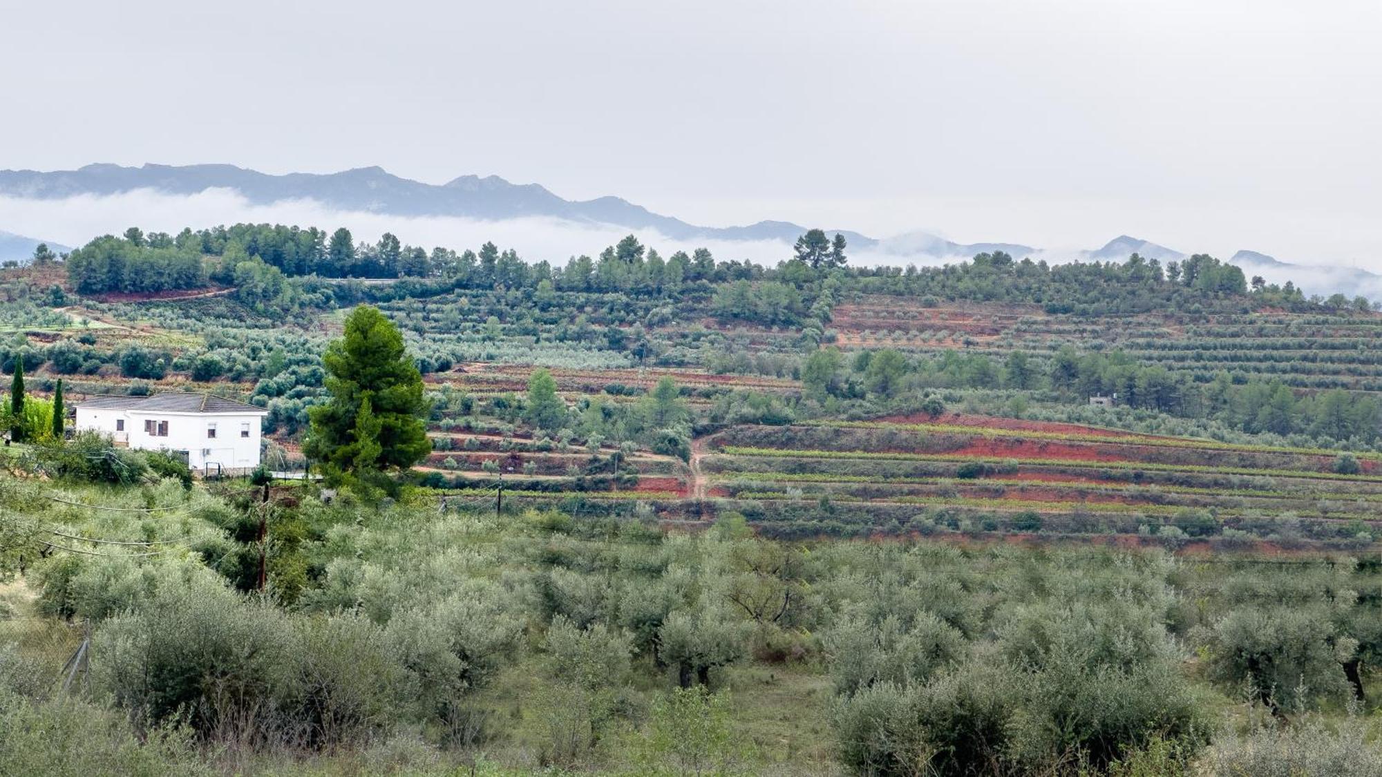Camins Del Priorat : Ermita Sant Gregori Bis Apartment El Masroig Exterior photo